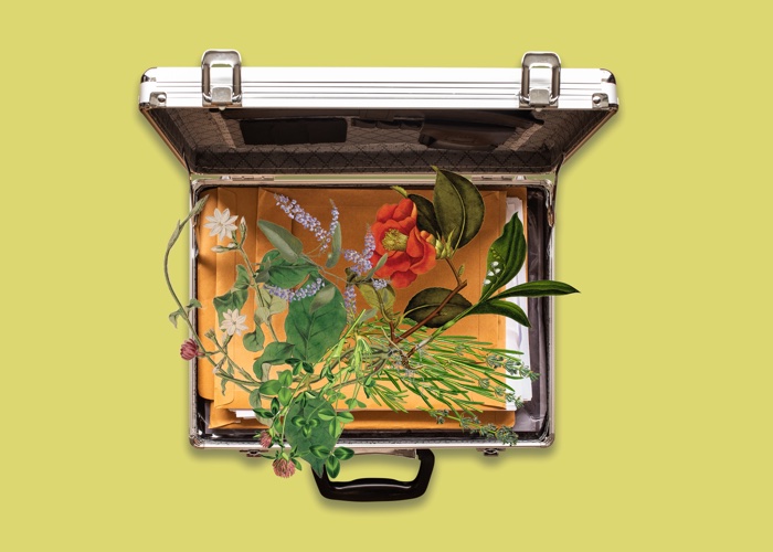 Polishing that portfolio: What do ingredient company M&As mean for beauty makers?