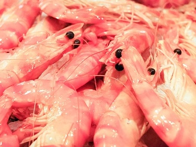 Prawns could replace plastic in some cosmetics