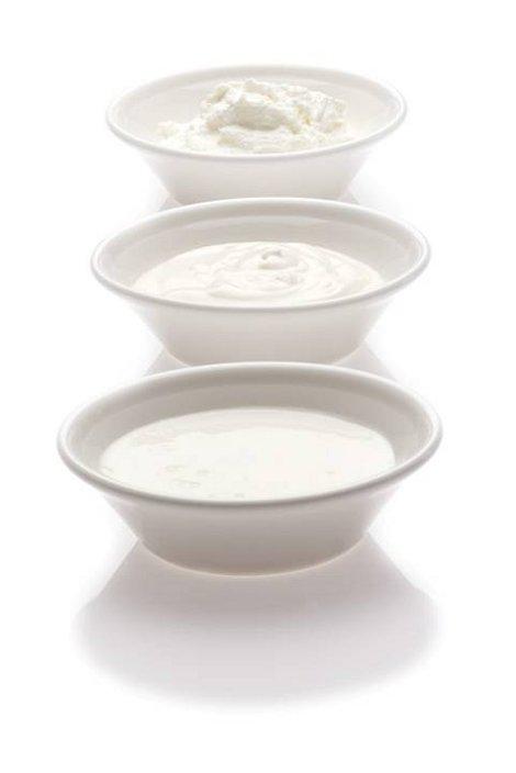 Prebiotic potential