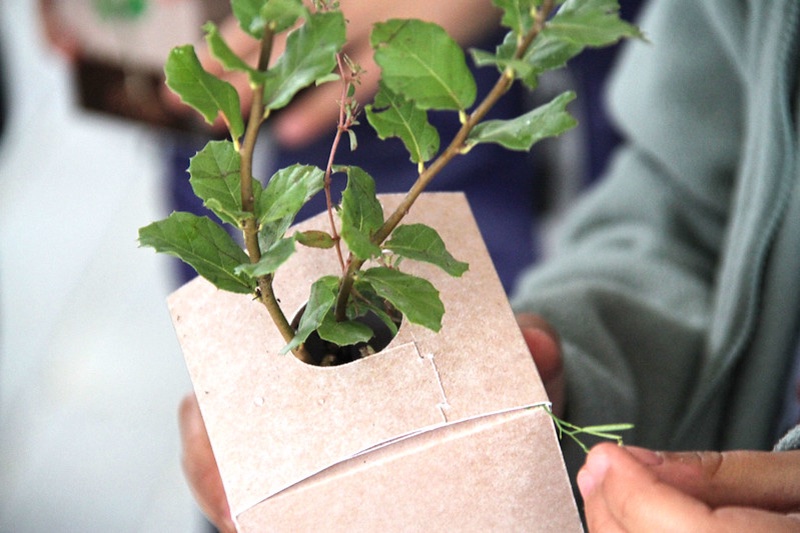 Pro Carton rolls out home learning programme for budding environmentalists 