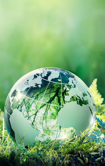 Proactive Quality and Sustainability: Reduced waste through microbial quality management