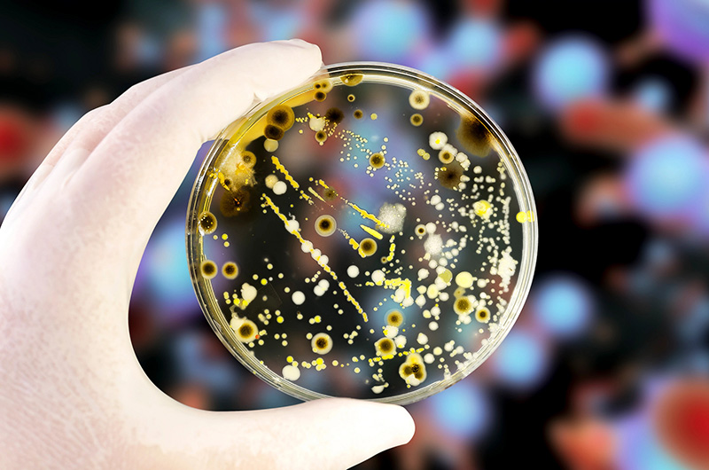 Proactive quality systems that reduce risk