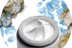 Protectami proven to improve elastin synthesis