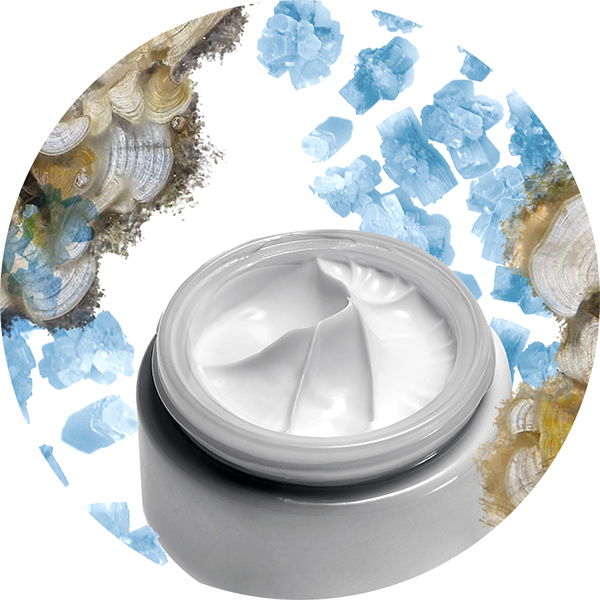 Protectami proven to improve elastin synthesis