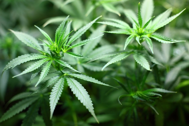 Pura Naturals partners with US Equity Holdings to grow CBD skin care lines