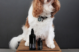 Purearth obtains Leaping Bunny Cruelty Free International Certification