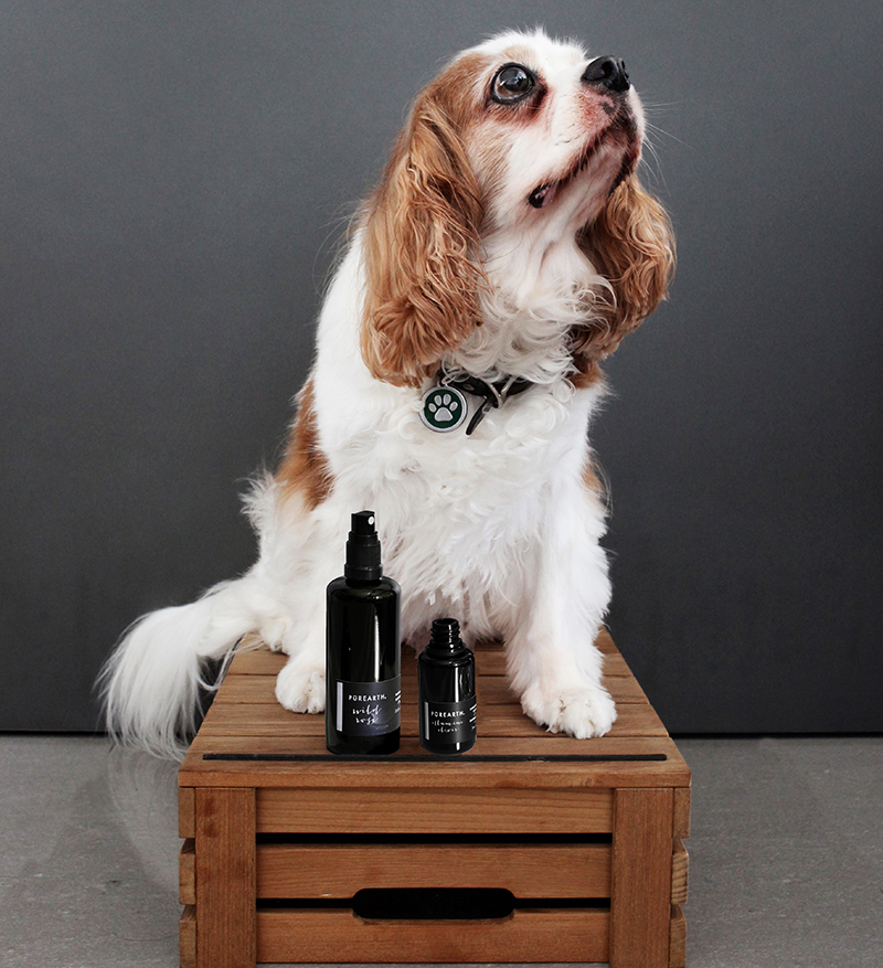 Purearth obtains Leaping Bunny Cruelty Free International Certification