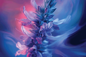 Pureblome - Harmonising the skin of ever-blooming women