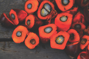 PZ Cussons fails to achieve 100% crude palm oil traceability on time
