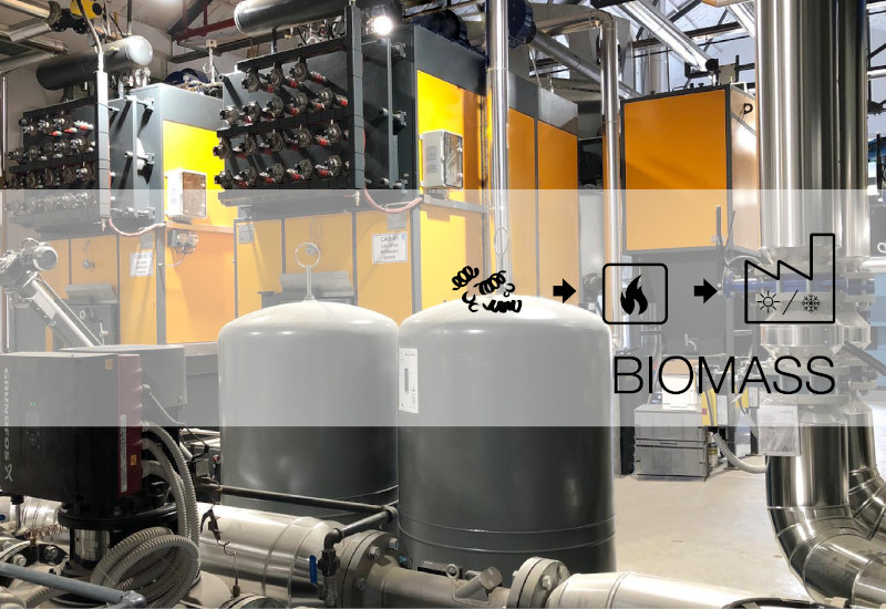 Quadpack Wood inaugurates biomass plant
