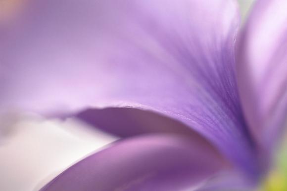 Quest acquistion boosts Givaudan sales