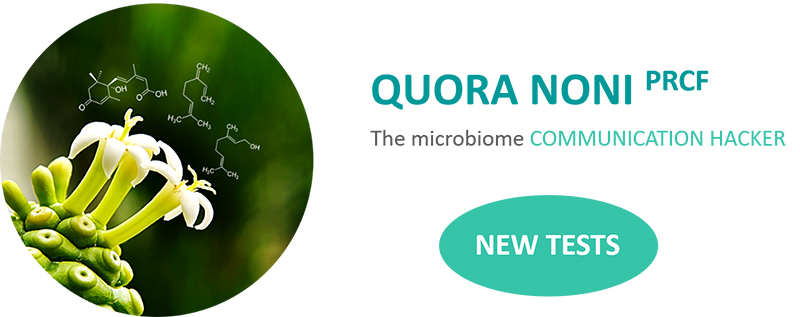 QUORA NONI: New studies for body odour, nail and feet care
