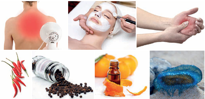 Rahn’s DEFENSIL -SOFT offers zen-like soothing and anti-ageing effects