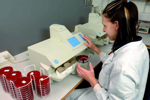 Rapid testing for antimicrobial efficacy