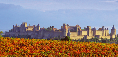 Regional profile – Languedoc-Roussillon