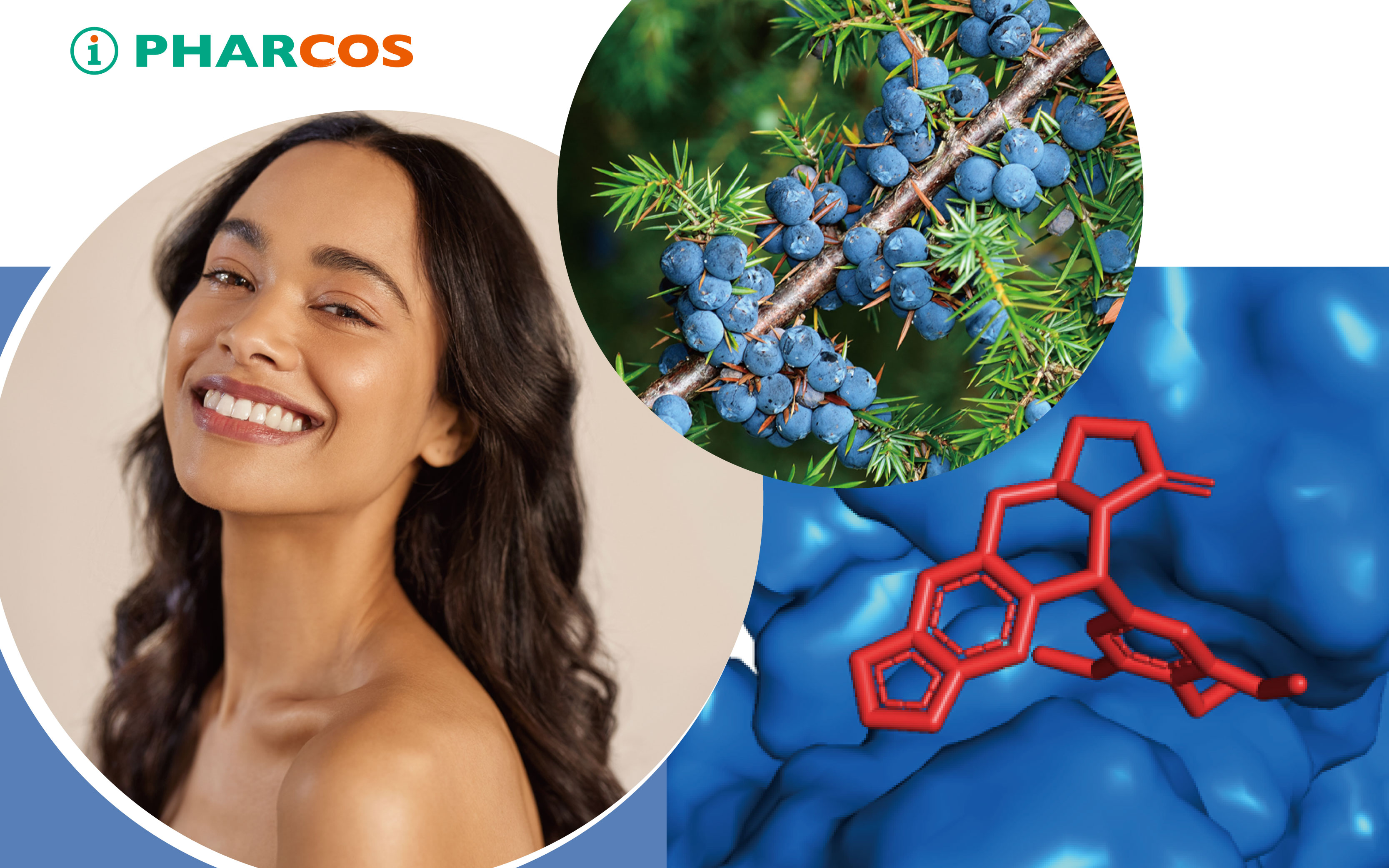 Research article about JuniperBright in ‘Biochemistry and Biophysics Reports’