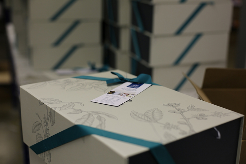 Revolution Beauty awards contract to Cygnia Logistics 