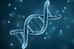 RJMPDRN REC: The World’s First Recombinant Salmon PDRN for Anti-Aging and Regeneration
