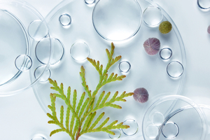 Robertet bets on biotech with Aethera Biotech investment