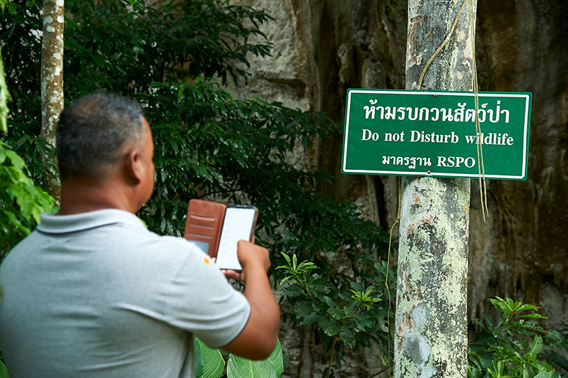 RSPO’s latest Impact Update demonstrates safeguards for people and planet