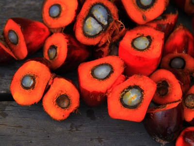 RSPO suspension lifted on IOI Group after six months
