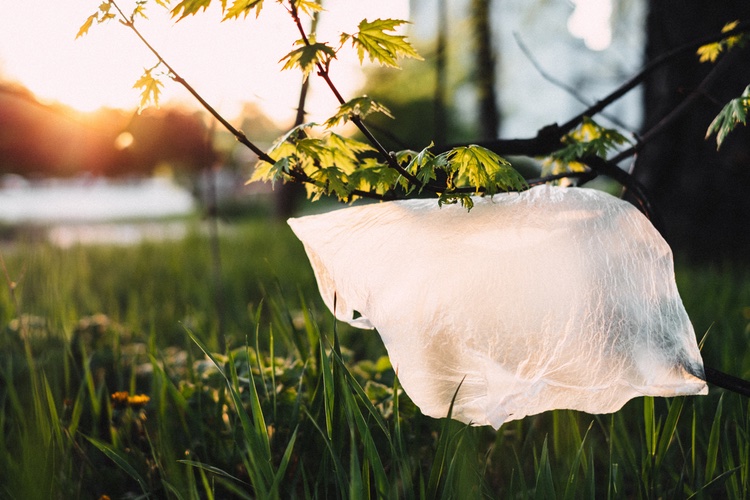 Scientists discover biodegradable plastics can be fully metabolised