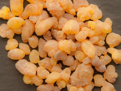 Scientists discover what gives frankincense its smell