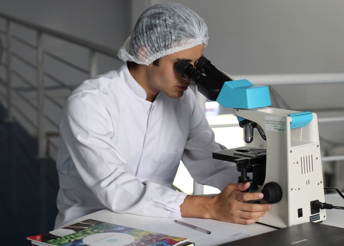 Scientists reveal new insights into what causes wrinkles