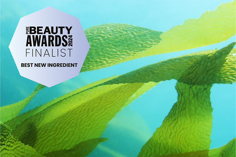 Seaweed bioactive selected as a finalist for Pure Beauty Awards 2024 – Best New Ingredient