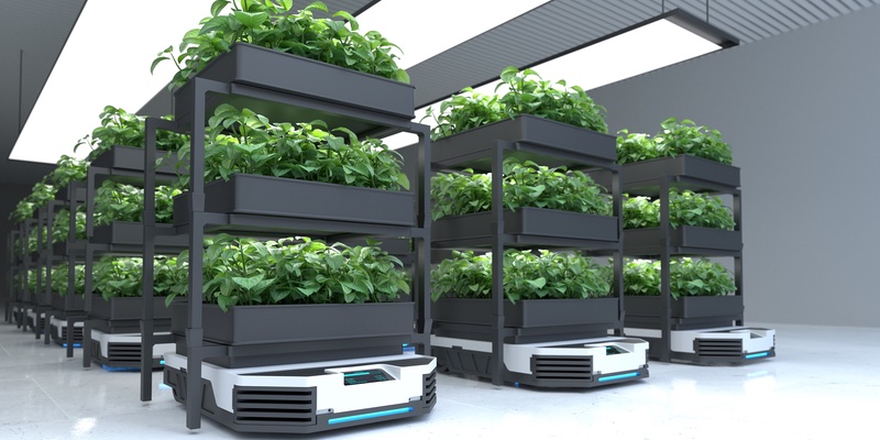 Seppic and Botalys team up to create cosmetic ingredients from vertical farming