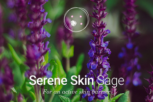 Serene Skin Sage, a balancing and protective active