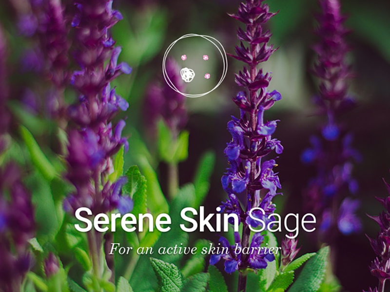 Serene Skin Sage, a balancing and protective active