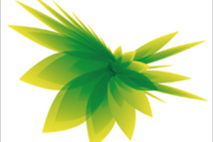 SGD and Aptar win 2015 Luxe Pack in Green awards