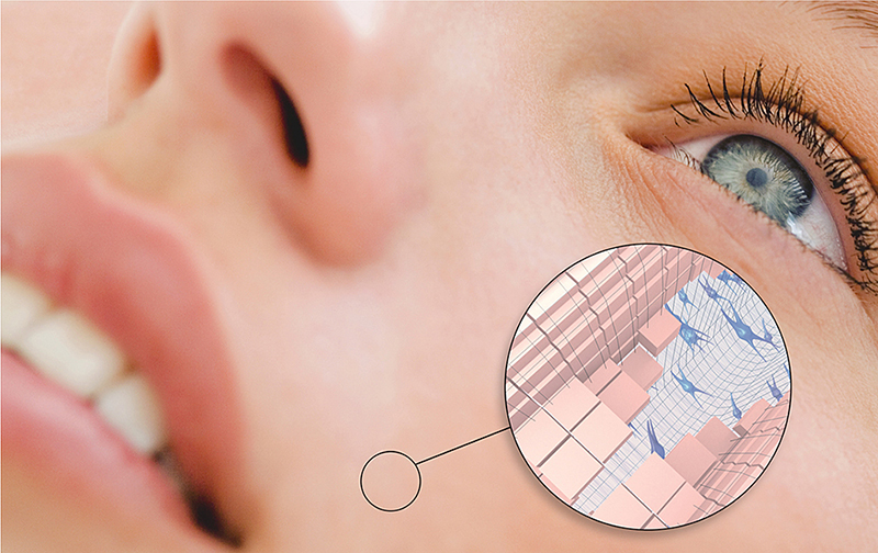 Silab releases additional efficacy data on active ingredient Glyco-Repair
