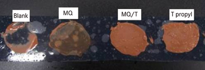 <i>Figure 2 Film-forming properties of resins in a prototype foundation, after washing</i> 