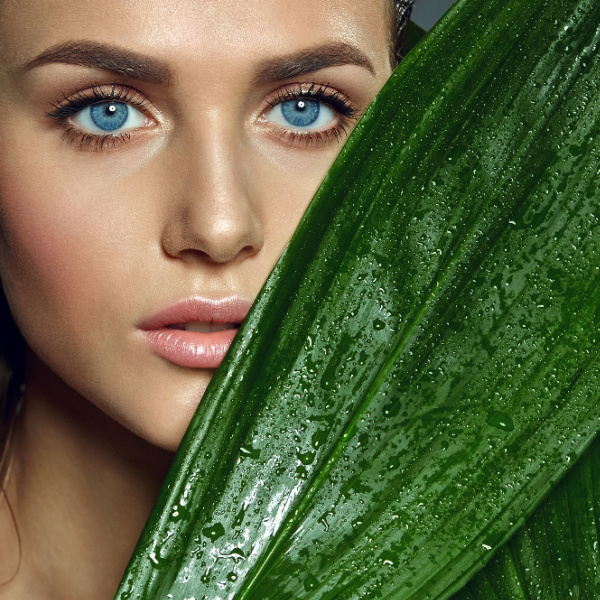 Siltech's new product introductions at In-cosmetics Global