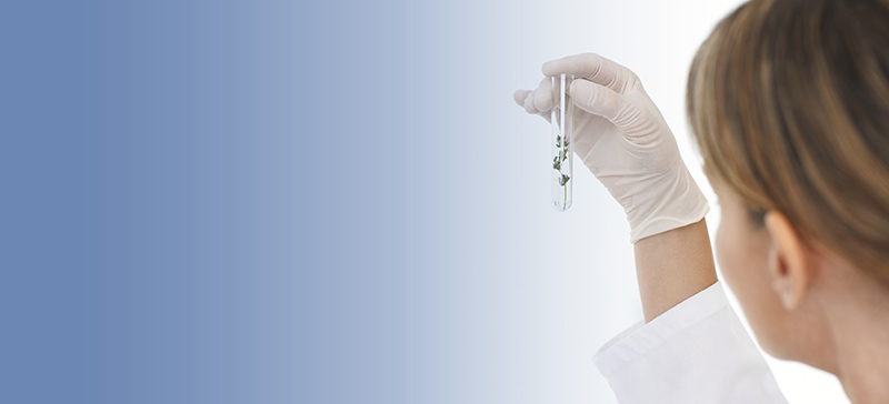 Skin science: nature’s best plus technology’s latest 
