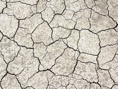 Skin stretch test could improve grafts and inspire cosmetics