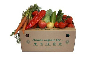 Soil Association to raise awareness of organic beauty 