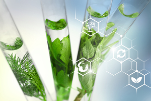 Solabia Group unveils innovations at in-cosmetics Global