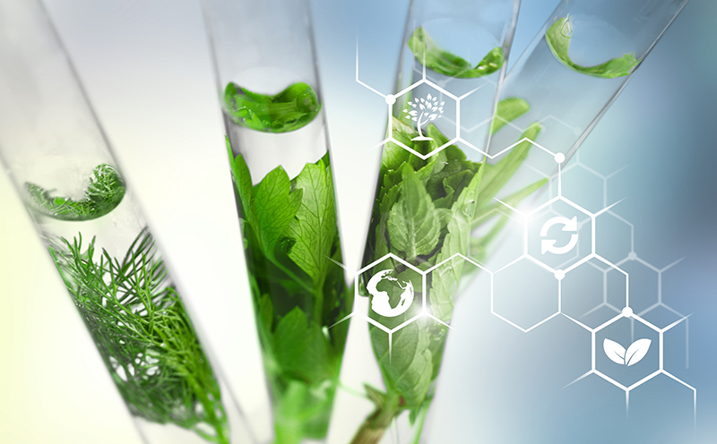 Solabia Group unveils innovations at in-cosmetics Global
