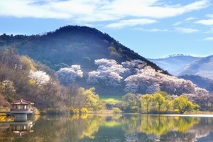 South Korea has officially adopted the Nagoya Protocol