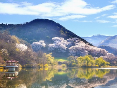 South Korea has officially adopted the Nagoya Protocol