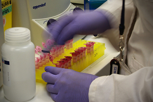 Spanish CRO Bionos Bitoech remains open and launches new studies to fight against covid-19
