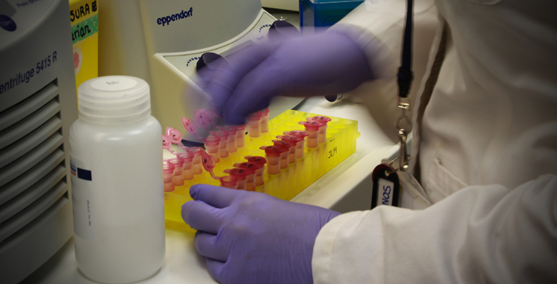 Spanish CRO Bionos Bitoech remains open and launches new studies to fight against covid-19
