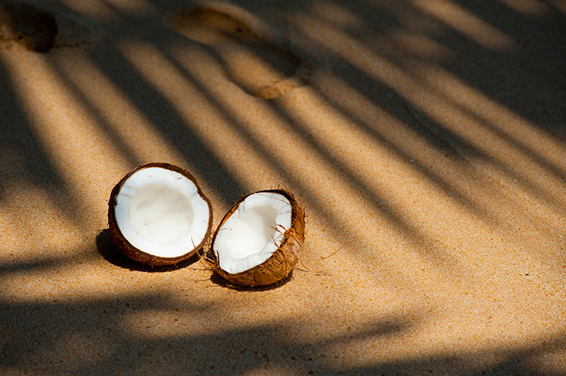 SpecChem introduces coconut shell-activated carbon