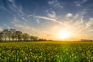 Spring cleaning with AHA/BHA products