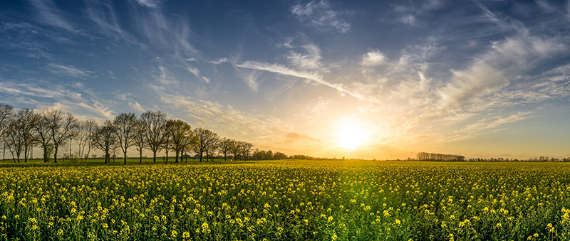 Spring cleaning with AHA/BHA products