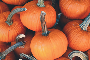 Superfood beauty: Why the pumpkin is more than a spice latte fad
