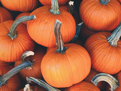 Superfood beauty: Why the pumpkin is more than a spice latte fad